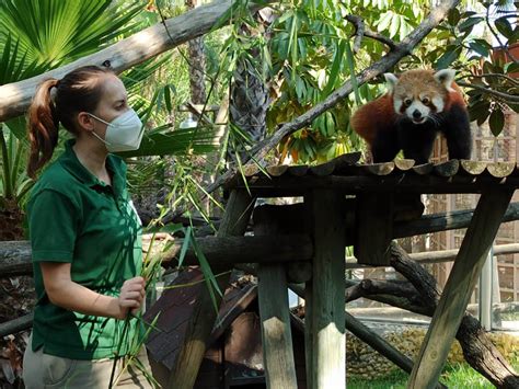 Selwo Aventura Estepona: unique animal park close。